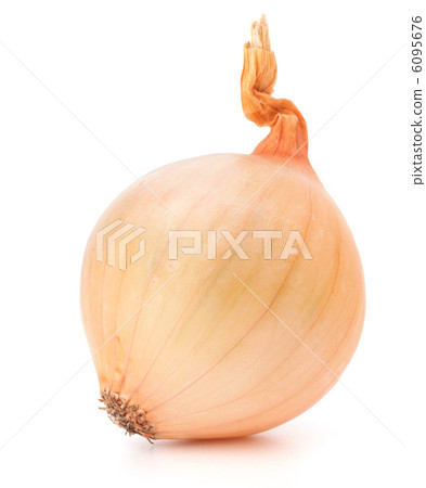 Onion bulb 6095676