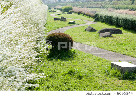 川口市Shibakawa的春天風景 川口市Shibakawa的春天風景 6095844