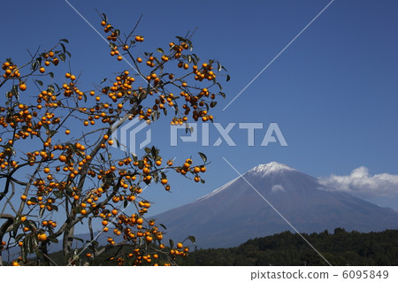 Fuji and persimmon Fuji and persimmon 6095849