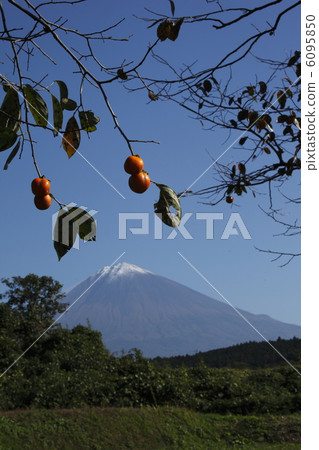 Fuji and persimmon Fuji and persimmon 6095850