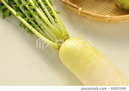 Leaves with radishes 6095999