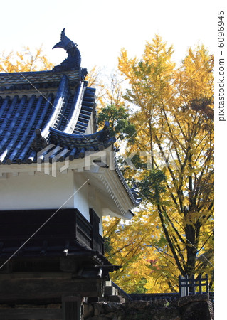 深秋高知城堡大手町和黃葉2012.11.19射擊 6096945