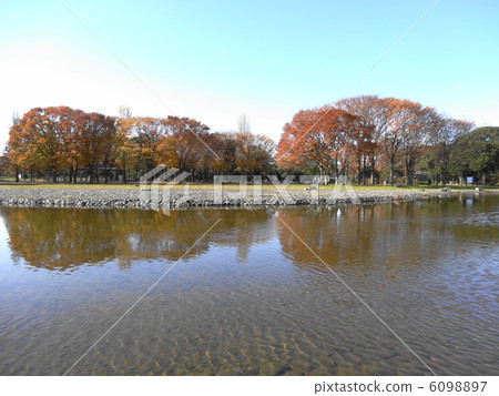 水本公園 6098897