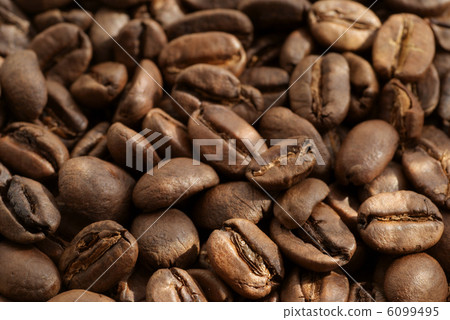 咖啡豆 6099495