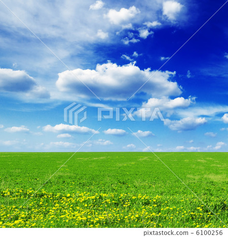 meadow meadow 6100256