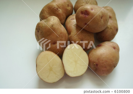 HALCA 6100800
