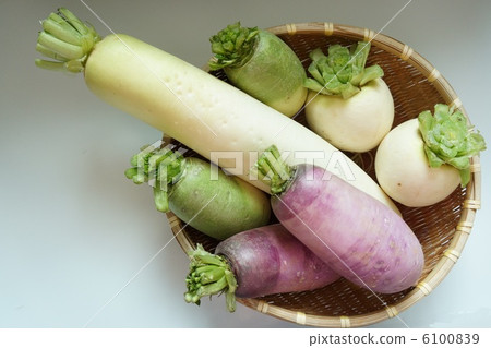 各種蘿蔔 6100839