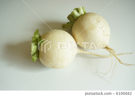 Shogoin Daikon Shogoin Daikon 6100882