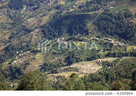 Nagarkot山谷交錯的田野 Nagarkot山谷交錯的田野 6100964
