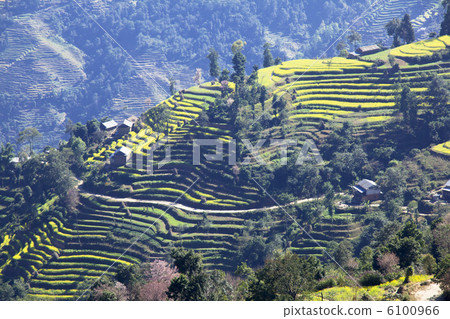 Nagarkot山谷交錯的田野 6100966