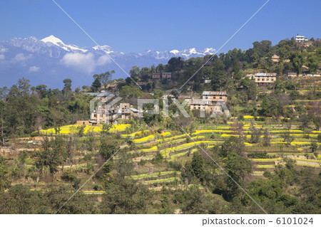 Nagarcot村和喜馬拉雅山脈 6101024