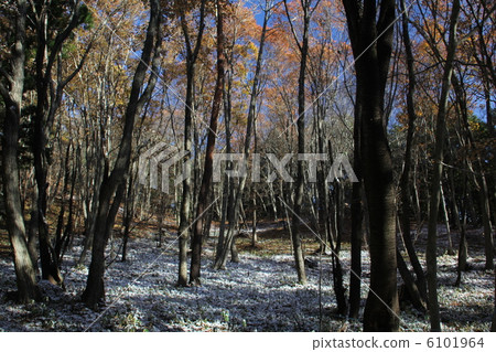 深秋的第一場雪 6101964