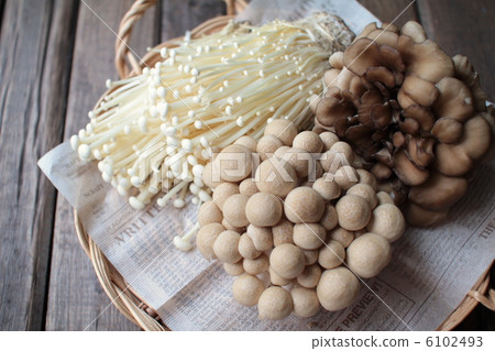Assortment of fresh mushrooms including shimeji, enoki and maitake Assortment of fresh mushrooms including shimeji, enoki and maitake 6102493