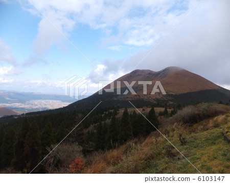 Mr. Kisabidake 6103147