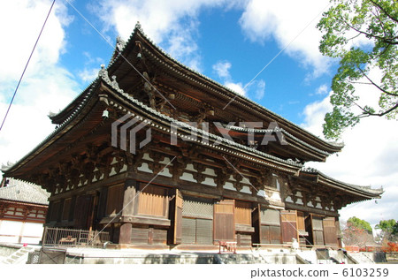 Toji（Kanedo） 6103259