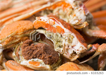 Cecilian crab 6103263