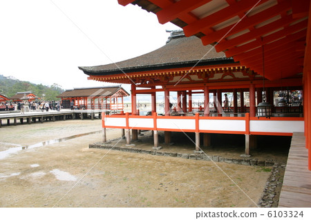 Itsukushima shrine  6103324