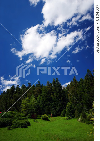Beautiful landscape Beautiful landscape 6104037