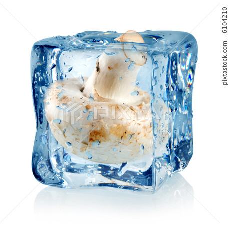 Ice cube and champignon 6104210