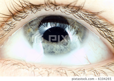 Blue eye macro Blue eye macro 6104265