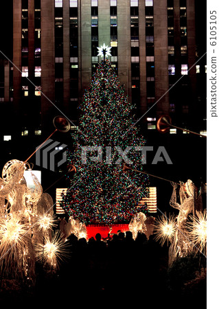 聖誕樹 聖誕樹 6105105