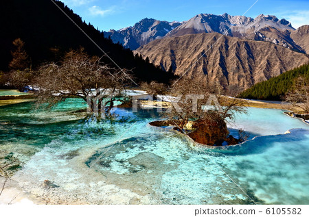 Yellow Dragon Yellow Dragon 6105582