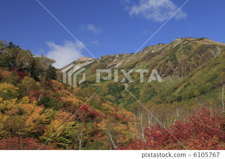 秋天tsugaike自然公園 6105767