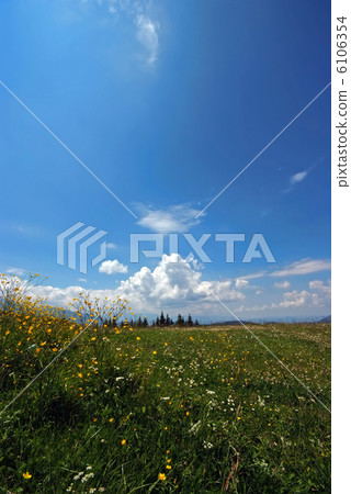 Beautiful landscape Beautiful landscape 6106354