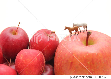 馬和蘋果 馬和蘋果 6107370
