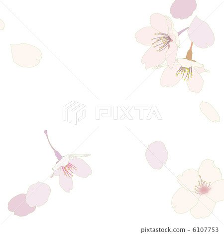 櫻桃樹 櫻桃樹 6107753