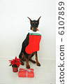 Christmas Doberman 6107859