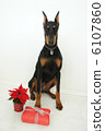 Christmas Doberman 6107860