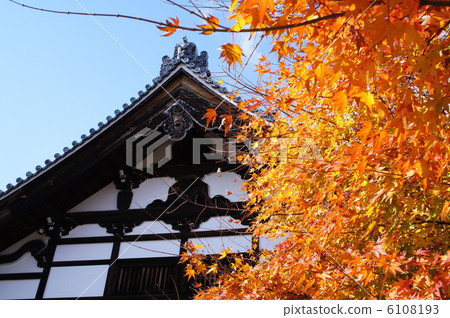 Tenryu temple Tenryu temple 6108193