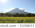 Mt. Yotei and Sunflower 6108633