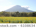 Mt. Yotei and Sunflower 2 6108634