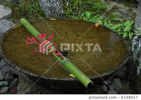 Kyoto Enokoji Temple Kyoto Enokoji Temple 6108657