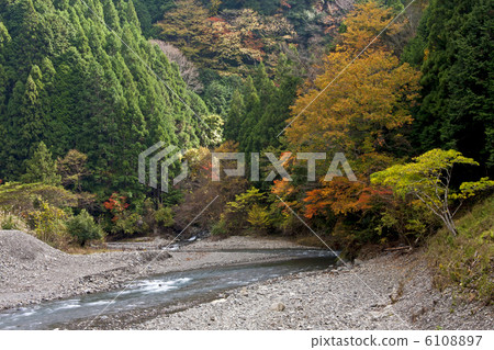 Autumn leaves of the Yukawa Valley 6108897