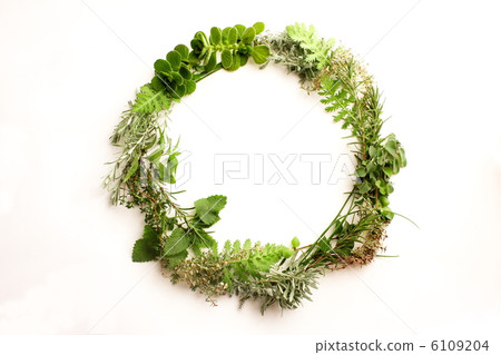 Fresh herb lease 6109204