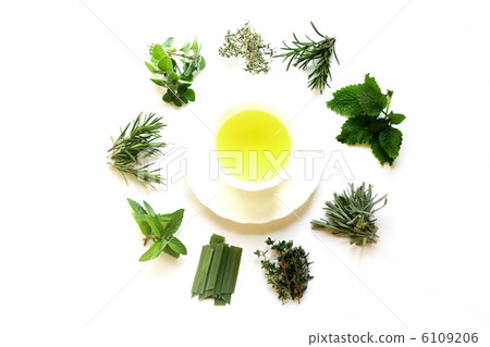 Herb tea and fresh herbs Herb tea and fresh herbs 6109206