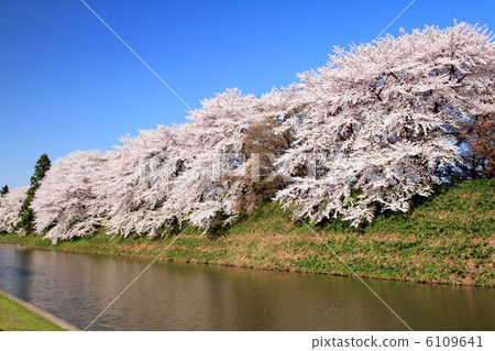 春天Kasagi公園 春天Kasagi公園 6109641