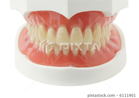 Total denture 6111901