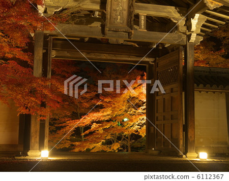 Buddha light up 6112367