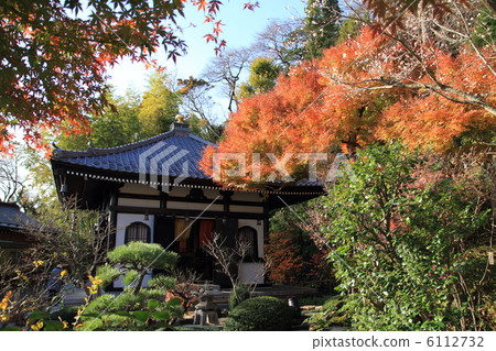 Hasegaji的集合和秋葉 6112732