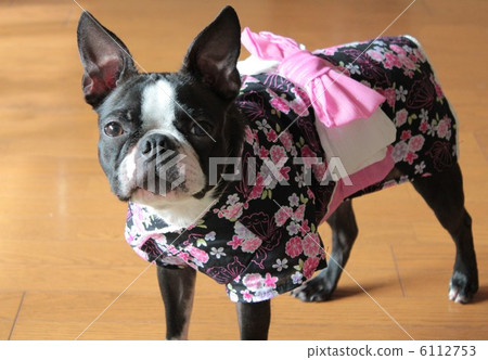 日本的衣服漂亮 日本的衣服漂亮 6112753