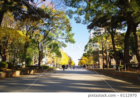 Yokohama Park 6112970