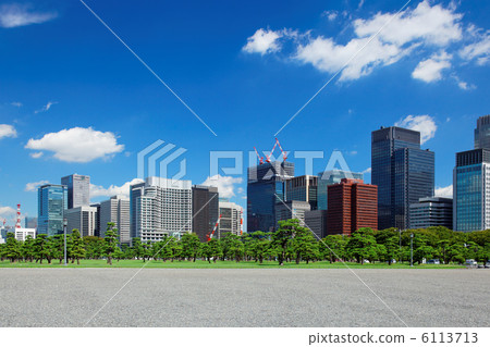 Pine grove pine grove and Marunouchi skyscraper building and blue sky Pine grove pine grove and Marunouchi skyscraper building and blue sky 6113713