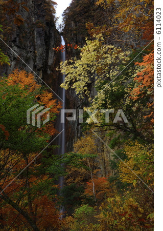 Authority Falls 6114023