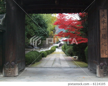 Daigo Kyonoin在京都 6114105