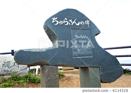 Mr. Chula's monument 6114328