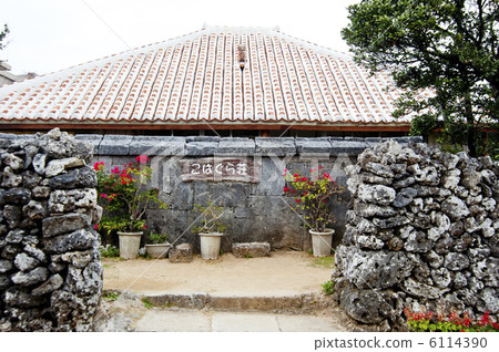 Okama Island Koharashoso 6114390